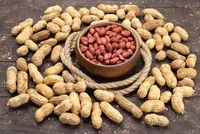 Pindar (Arachis hypogaea) plant