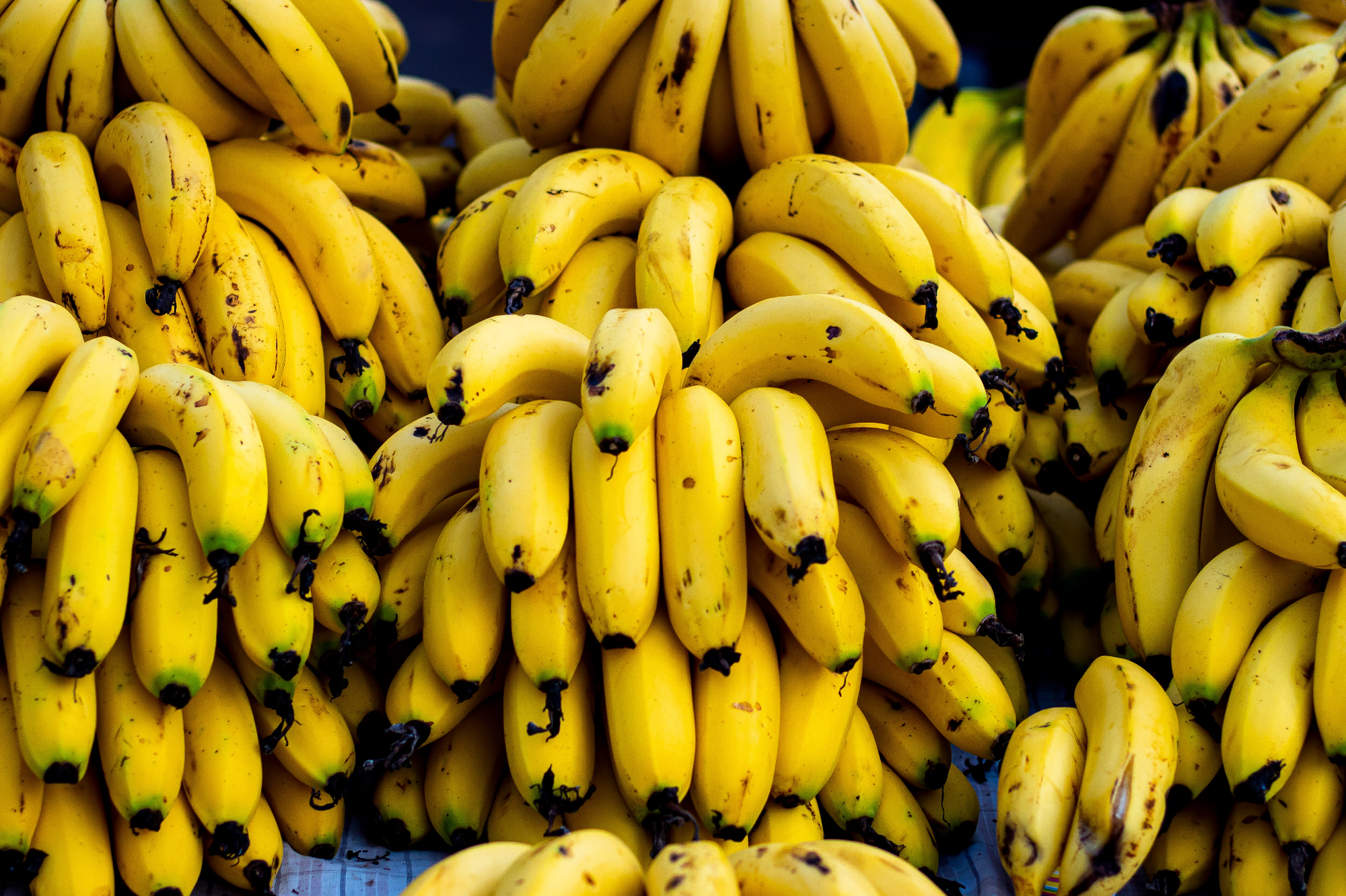 Most Popular Fruits Around the World - Banana