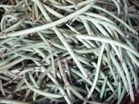 blackeyed pea