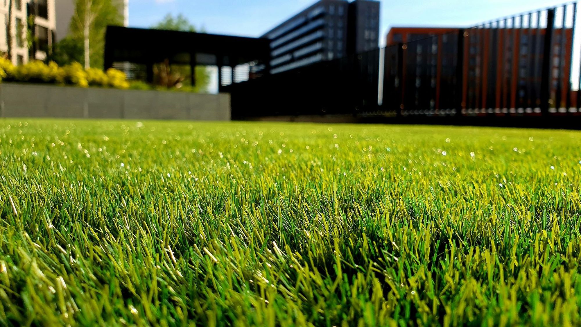 Tips for Mowing Your Lawn the Right Way