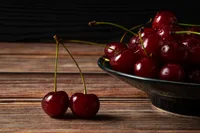 black cherry (Prunus serotina) plant