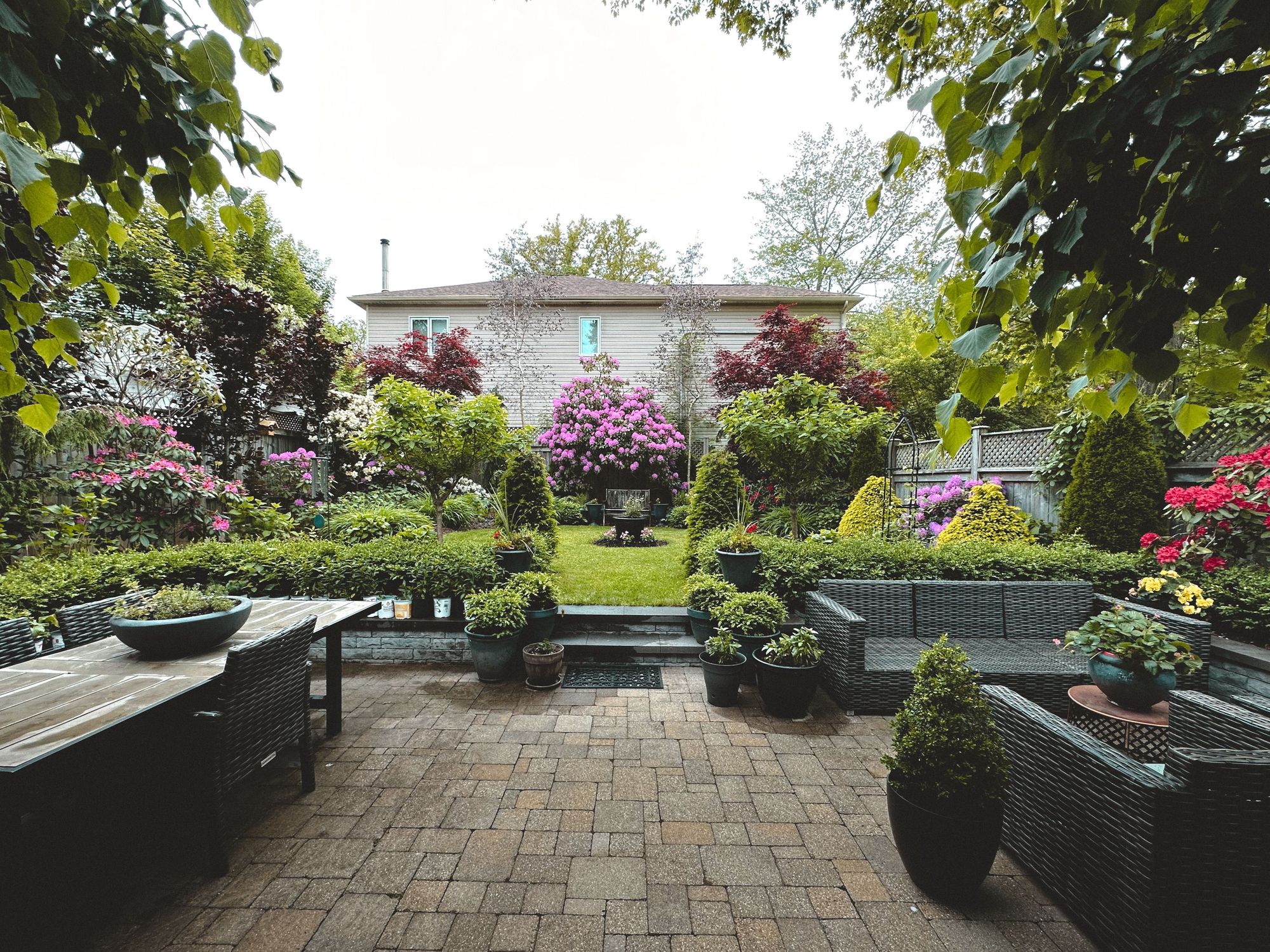 Plants in Landscaping