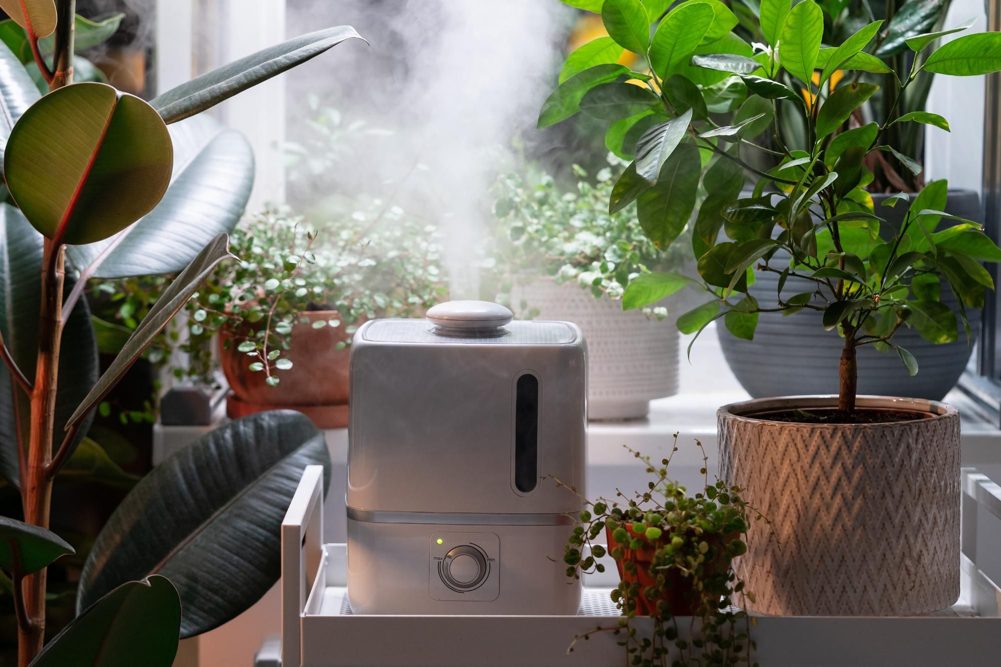Humidity Methods That Work Best - Use a Humidifier