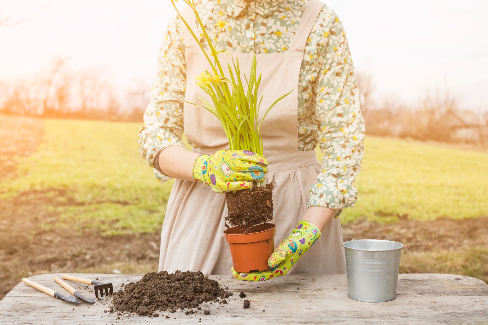 NPK Ratio for Grass Fertilizer