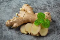 ginger (Zingiber officinale) plant