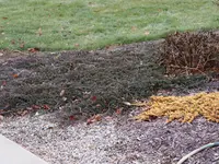 Blue Rug Juniper