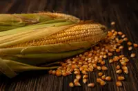 corn