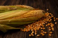 corn