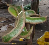 machete ice-cream-bean