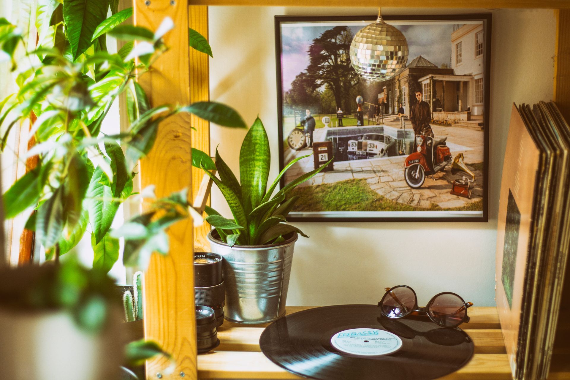Classic music for plants