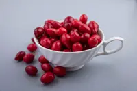 Common Barberry (Berberis vulgaris) plant
