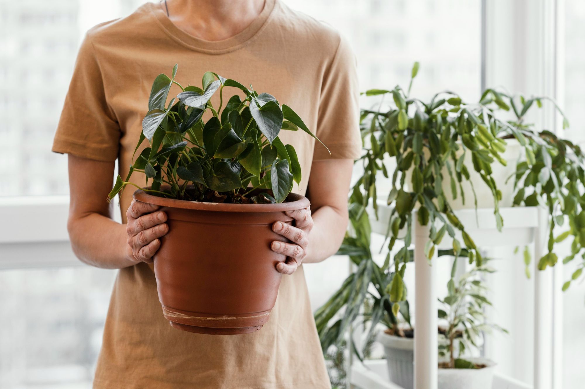 Medium, Actively Growing Plants