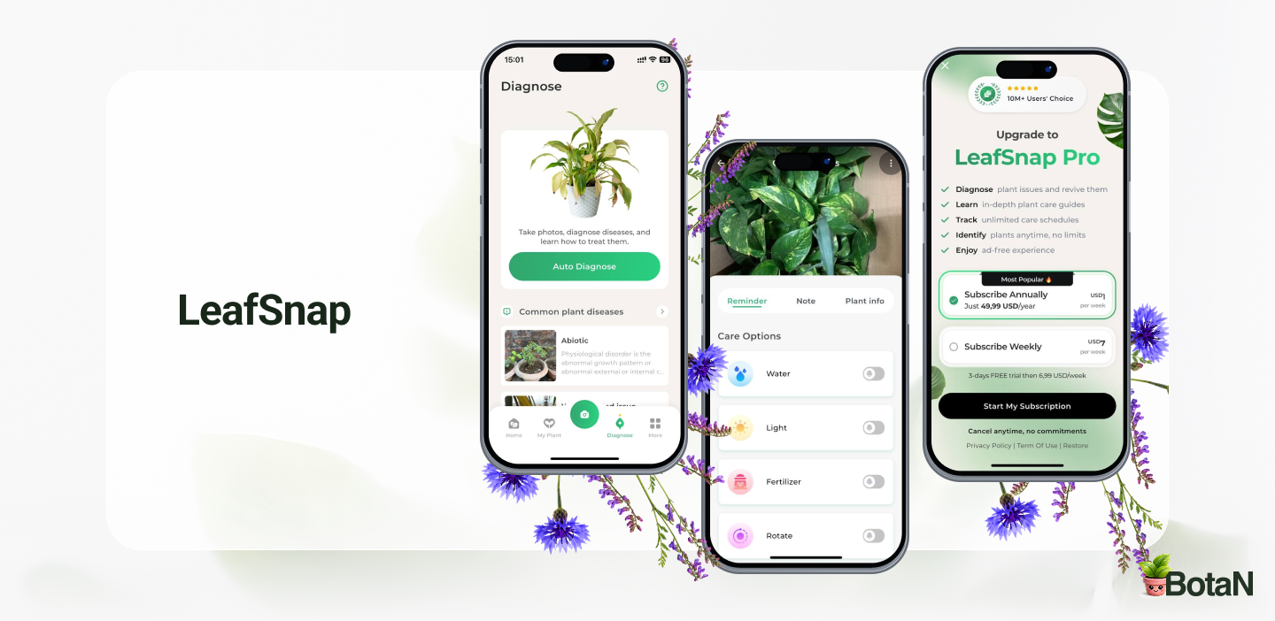 Best Plant Identification Apps - LeafSnap