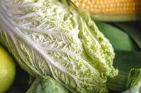 chinese-white-cabbage (Brassica rapa var. chinensis) plant