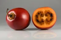 Tree Tomato