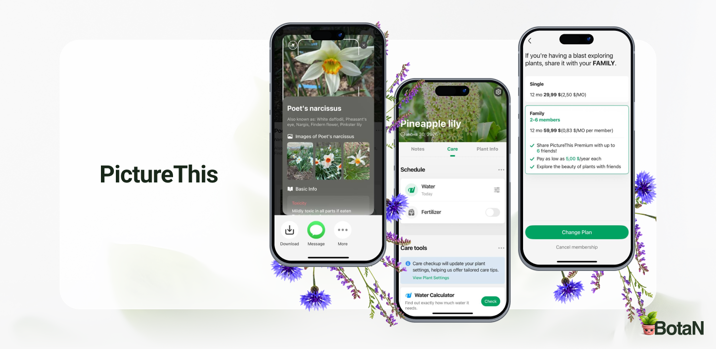 Best Plant Identification Apps - PictureThis