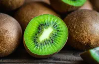 kiwi (Actinidia chinensis) plant