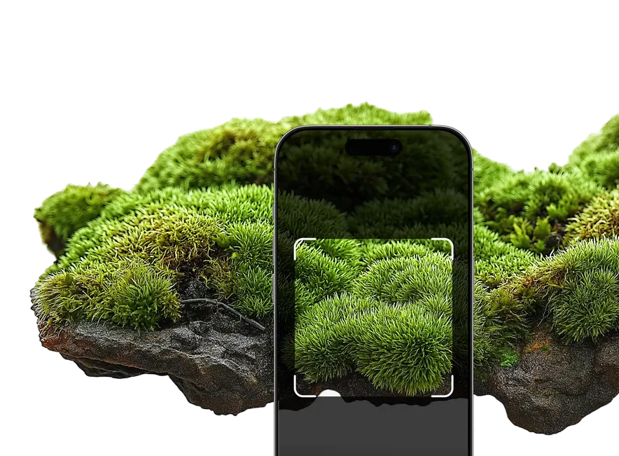 Moss identifier