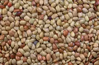 horsegram