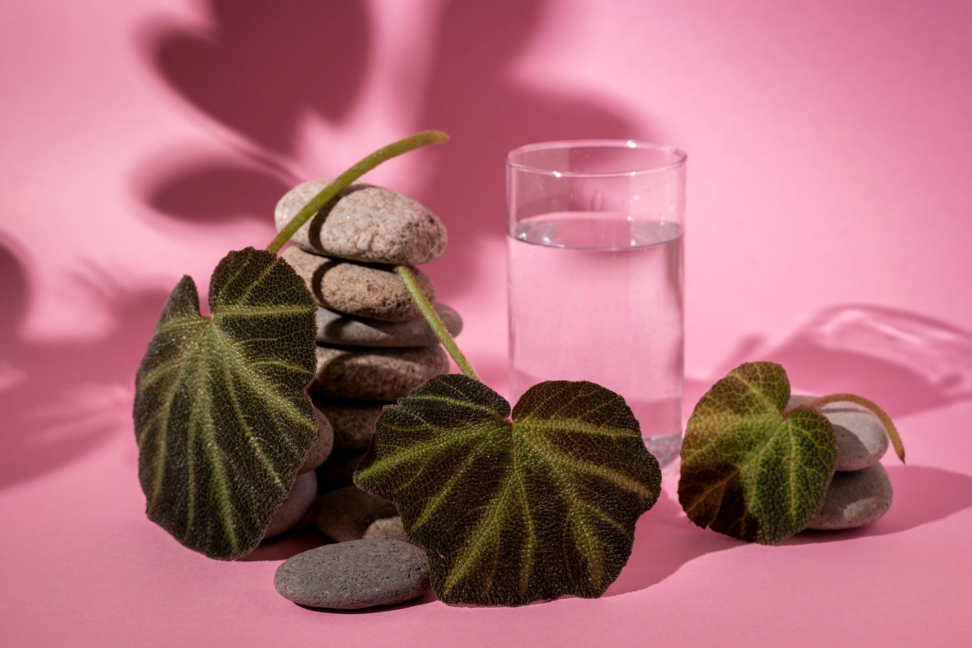 Humidity Methods That Work Best - Add a Small Water Vessel Nearby
