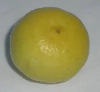Key Lime