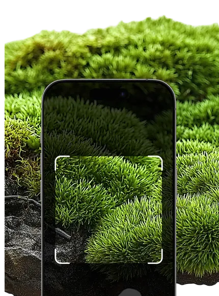 Moss id mobile