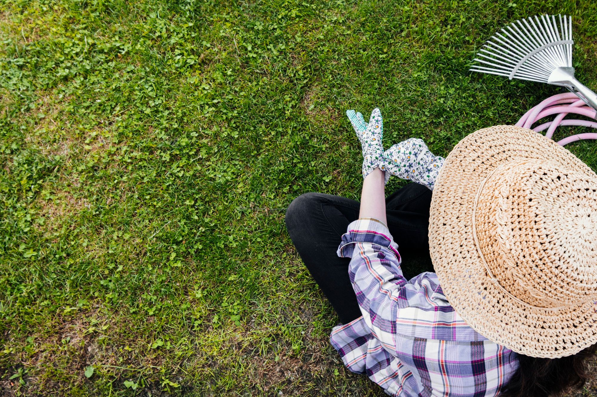 Planting Grass Seed in Summer – Can You Plant Grass Seed in Summer?