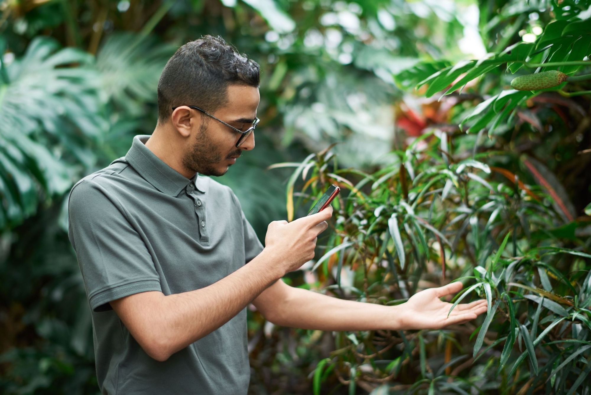 5 Ways to Identify a Plant