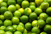 Persian lime