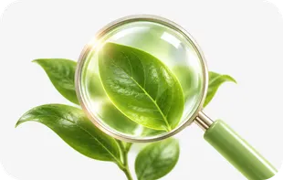 Plant identification guides