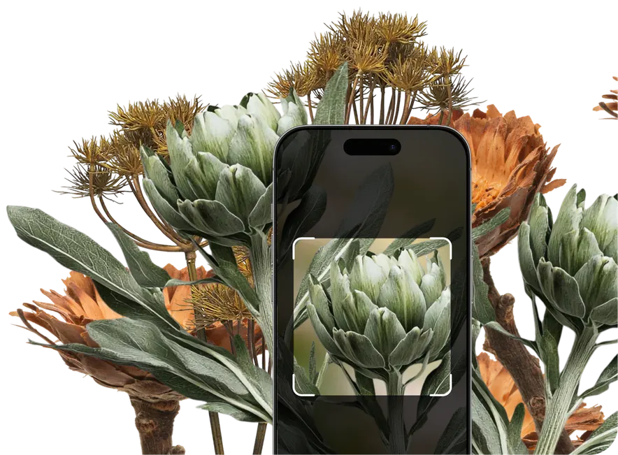 Green and Brown Flowers Identification – Hero