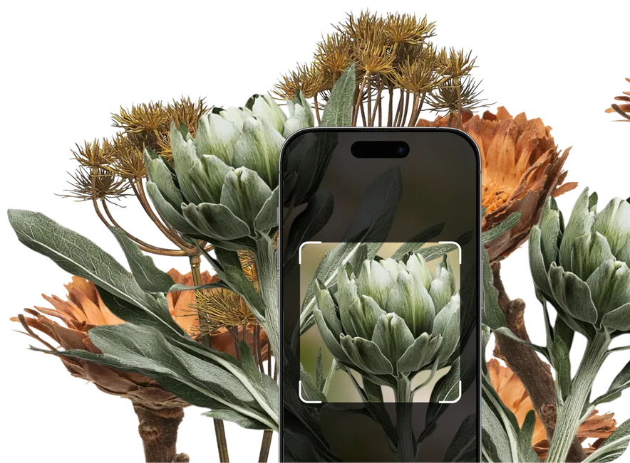 Green and Brown Flowers Identification – Hero